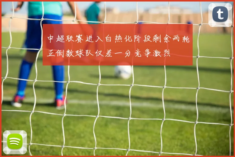 中超联赛进入白热化阶段剩余两轮正倒数球队仅差一分竞争激烈